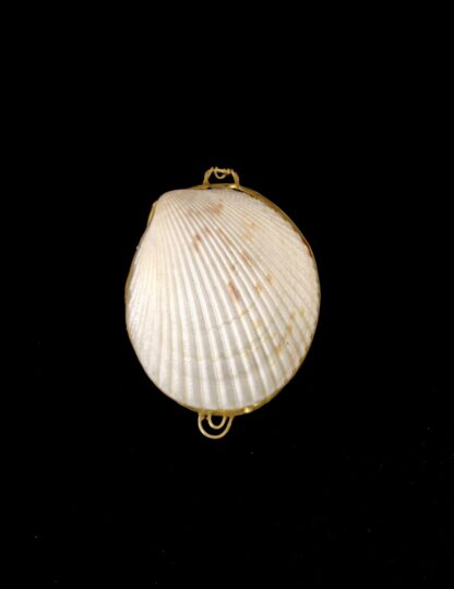 seashell ring holder natural